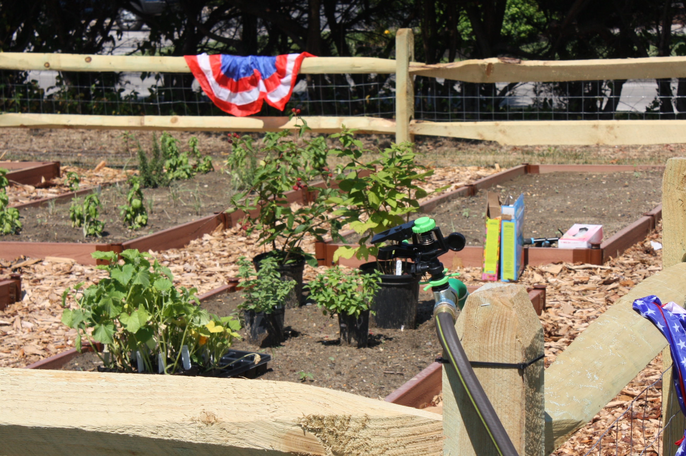 Spring Hills gardening 1